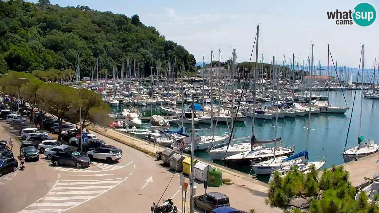 Webcam Sistiana Baia – Live View of the Marina and Gulf