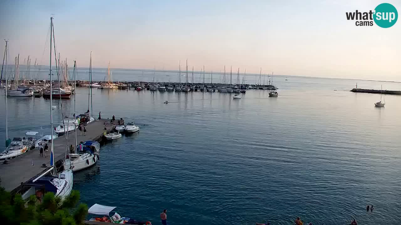 Webcam Bahía de Sistiana – Vista en directo del puerto deportivo y la costa