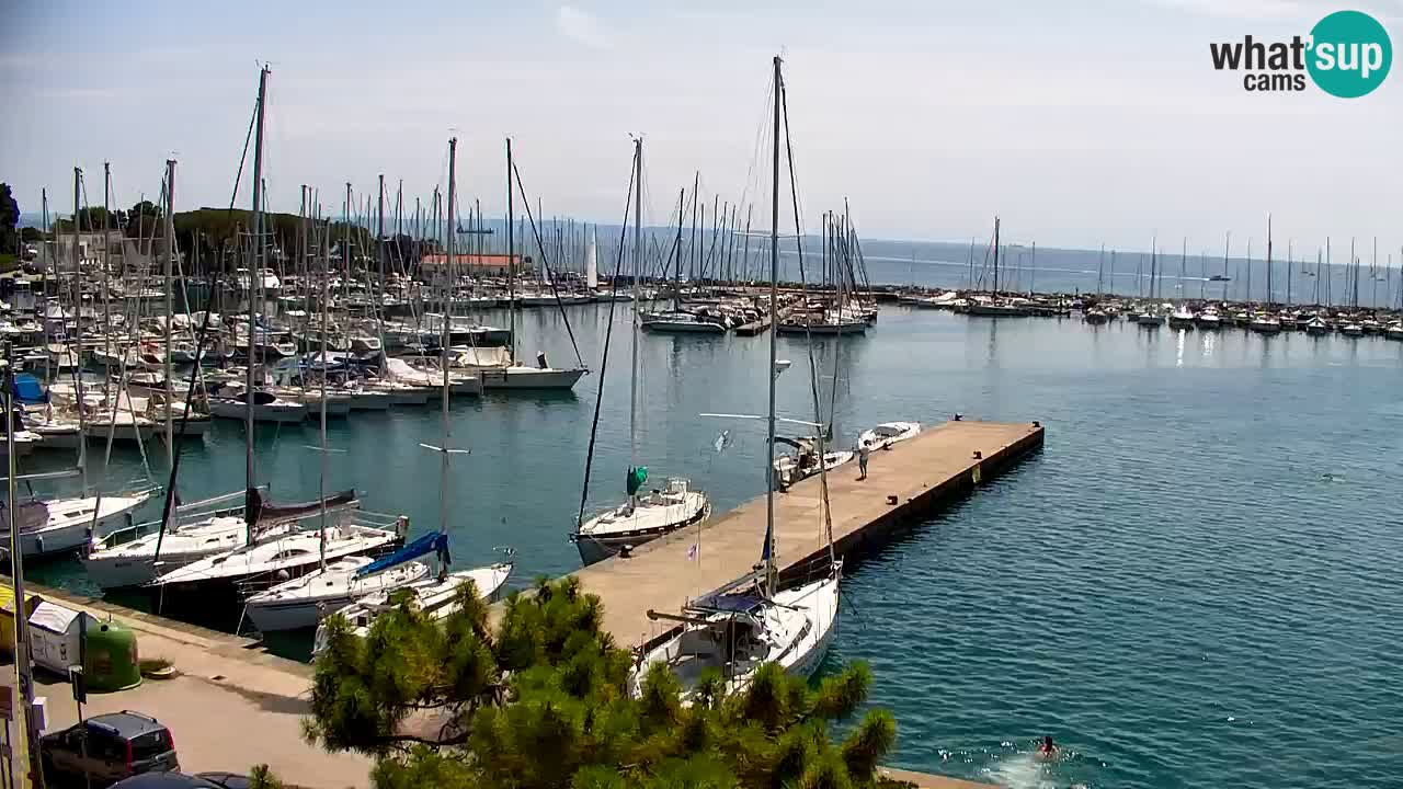 Webcam Bahía de Sistiana – Vista en directo del puerto deportivo y la costa
