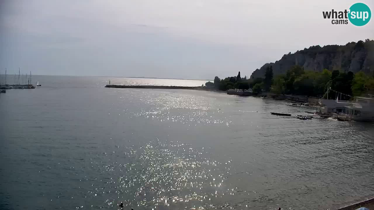 Spletna kamera Sesljanski zaliv – Pogled v živo na marino in zaliv
