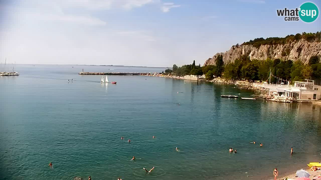 Spletna kamera Sesljanski zaliv – Pogled v živo na marino in zaliv