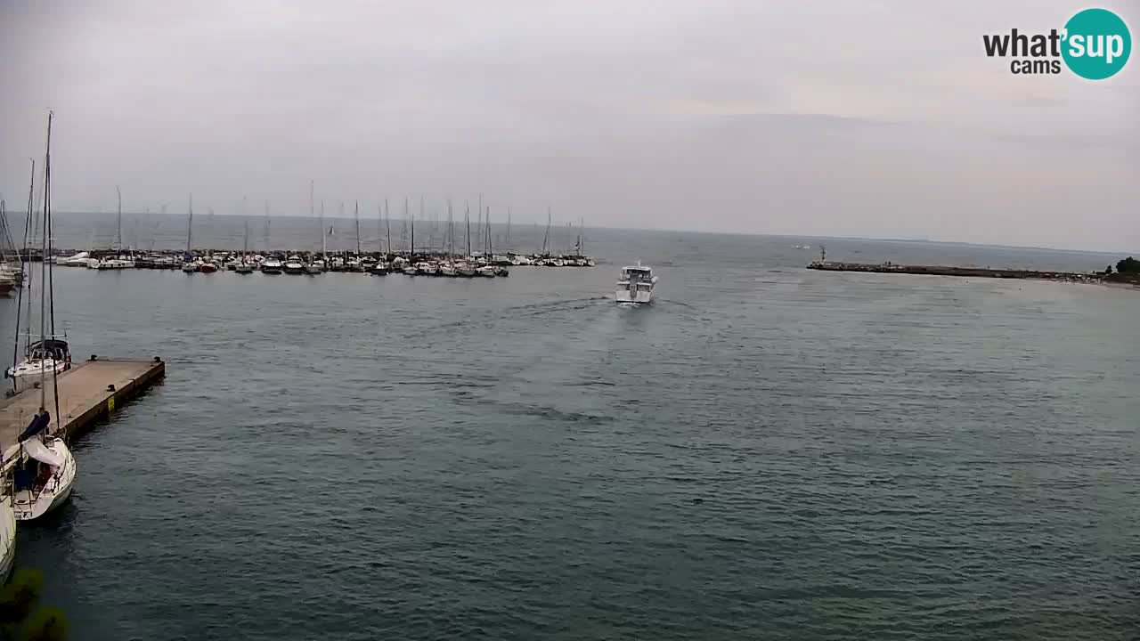 Webcam Bahía de Sistiana – Vista en directo del puerto deportivo y la costa