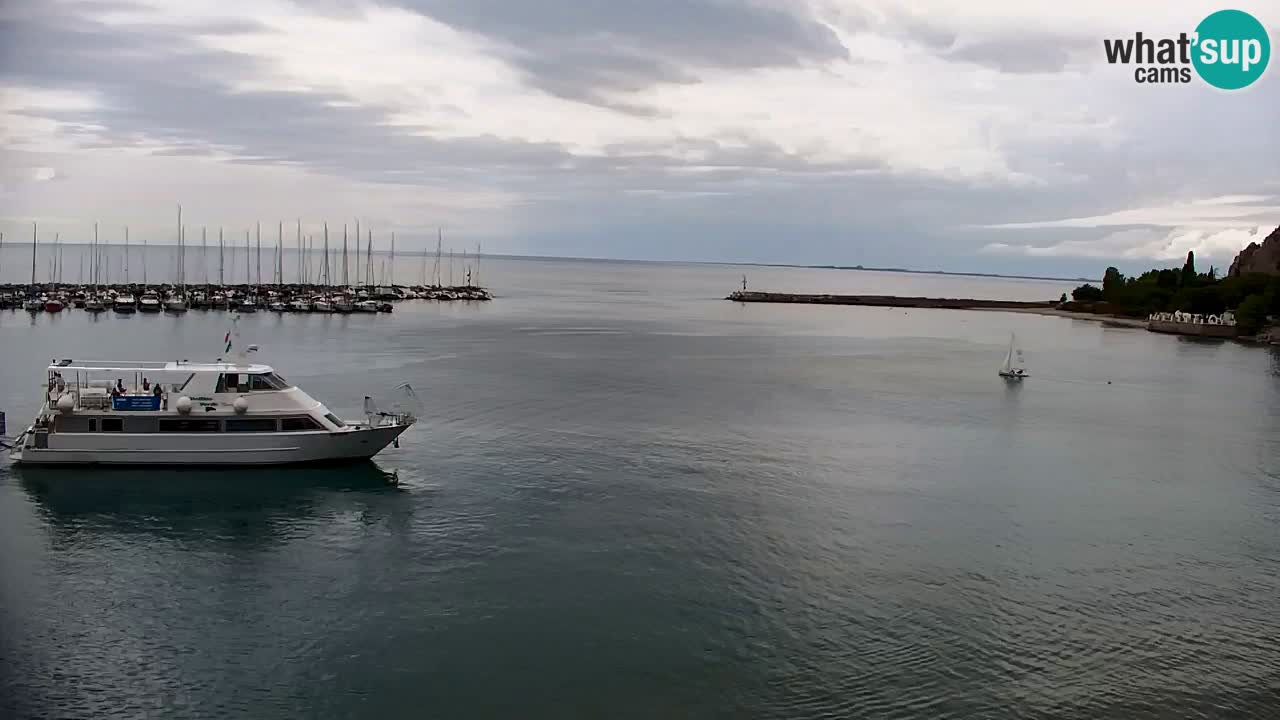Webcam Sistiana Baia – Live View of the Marina and Gulf