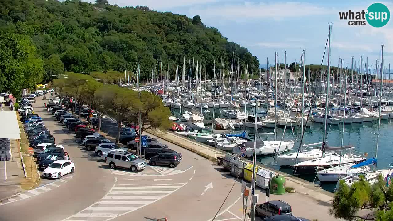 Webcam Sistiana Baia – Live View of the Marina and Gulf