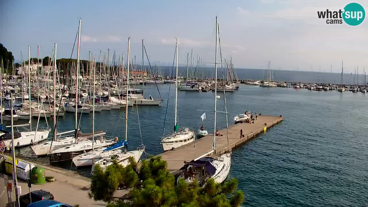 Webcam Sistiana Bucht – Liveblick auf Marina und Bucht