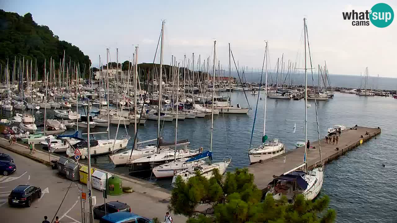 Webcam Bahía de Sistiana – Vista en directo del puerto deportivo y la costa