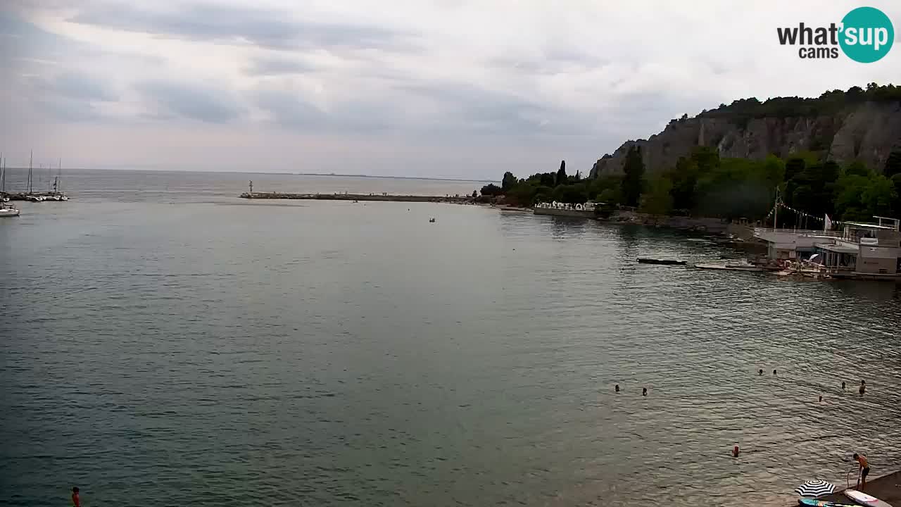 Webcam Bahía de Sistiana – Vista en directo del puerto deportivo y la costa