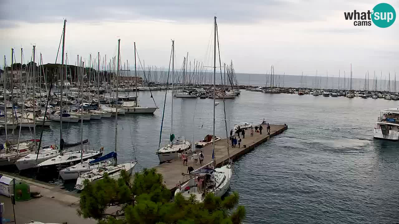 Webcam Baia di Sistiana – Marina e Golfo in diretta