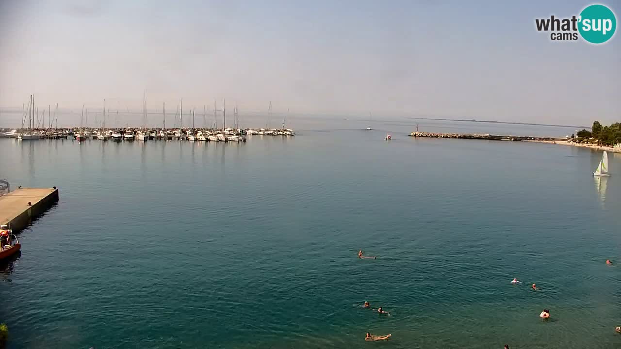 Webcam Bahía de Sistiana – Vista en directo del puerto deportivo y la costa