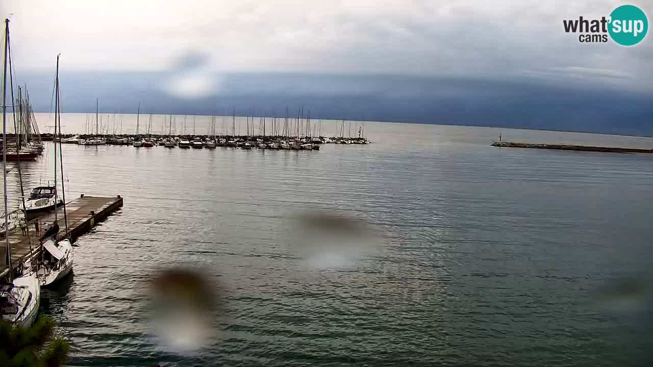 Spletna kamera Sesljanski zaliv – Pogled v živo na marino in zaliv