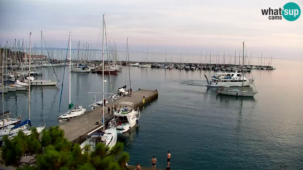 Webcam Sistiana Baia – Live View of the Marina and Gulf