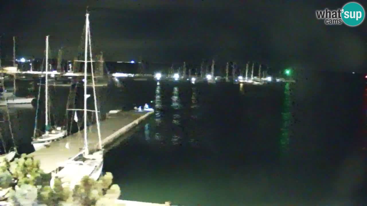 Webcam Sistiana Baia – Live View of the Marina and Gulf