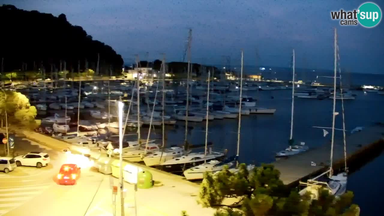 Spletna kamera Sesljanski zaliv – Pogled v živo na marino in zaliv