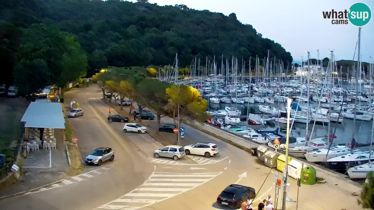 Webcam Sistiana Baia – Live View of the Marina and Gulf