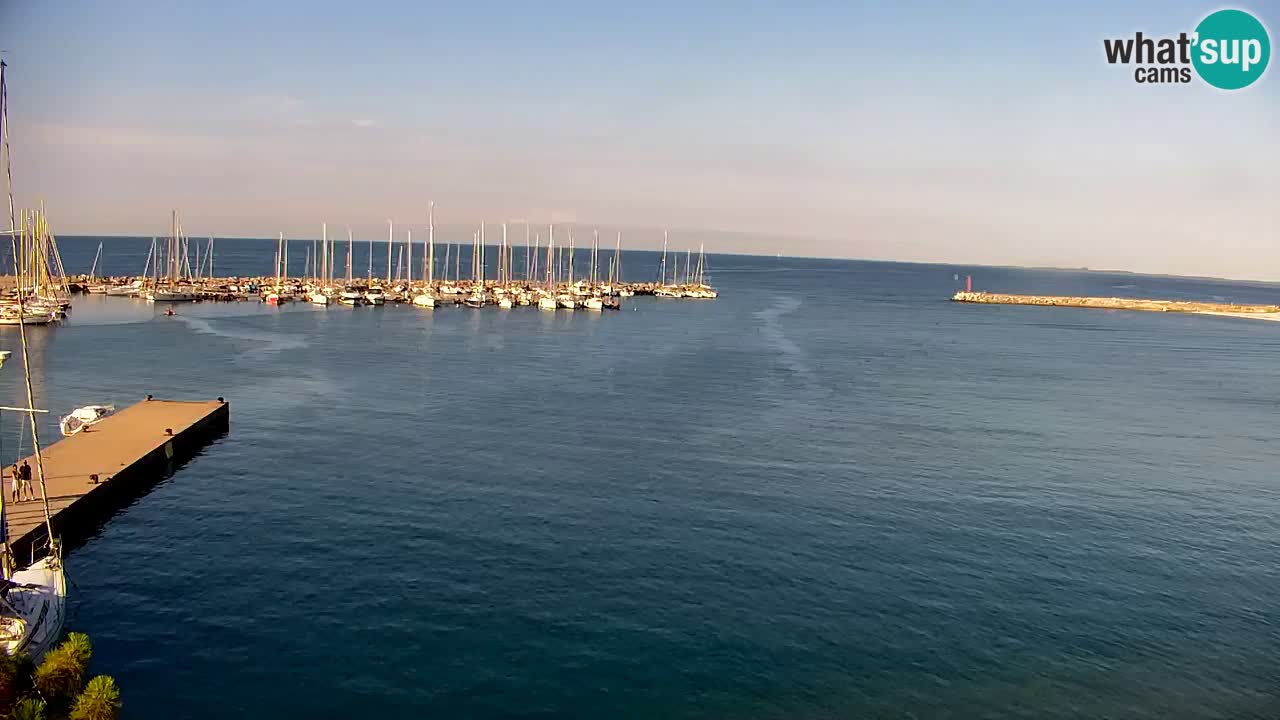 Webcam Bahía de Sistiana – Vista en directo del puerto deportivo y la costa