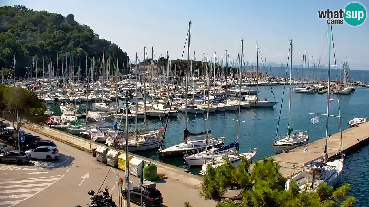 Spletna kamera Sesljanski zaliv – Pogled v živo na marino in zaliv