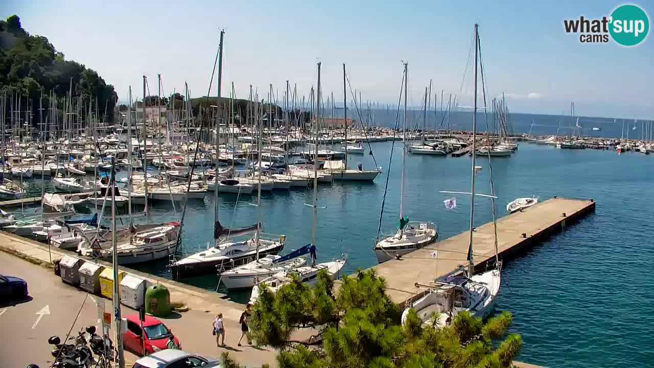 Webcam Sistiana Baia – Live View of the Marina and Gulf