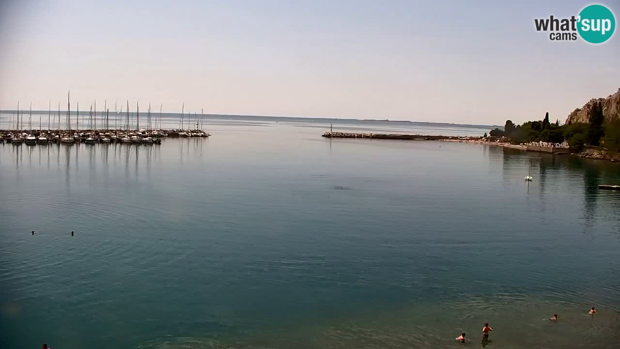 Spletna kamera Sesljanski zaliv – Pogled v živo na marino in zaliv