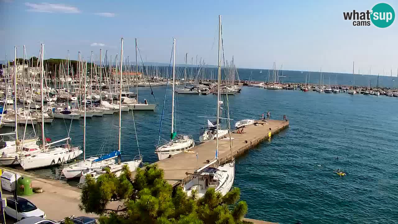 Spletna kamera Sesljanski zaliv – Pogled v živo na marino in zaliv
