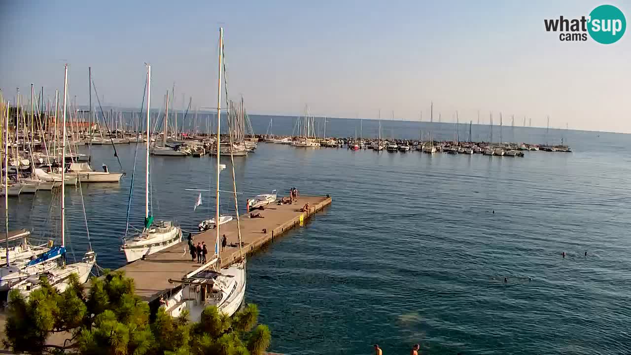 Spletna kamera Sesljanski zaliv – Pogled v živo na marino in zaliv