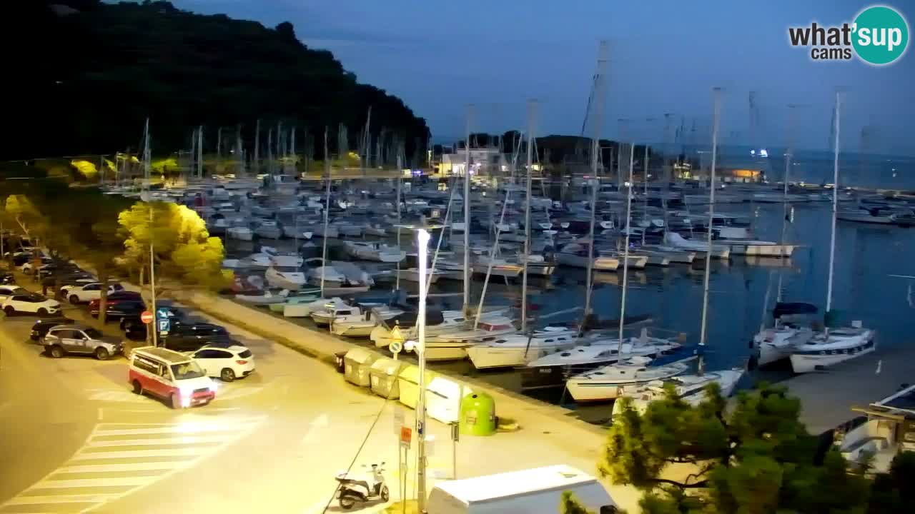 Webcam Sistiana Bucht – Liveblick auf Marina und Bucht