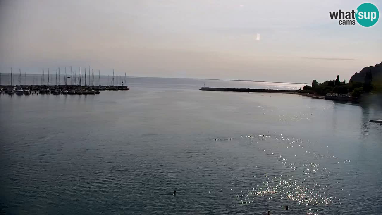 Webcam Baie de Sistiana – Vue en direct de la marina et de la baie