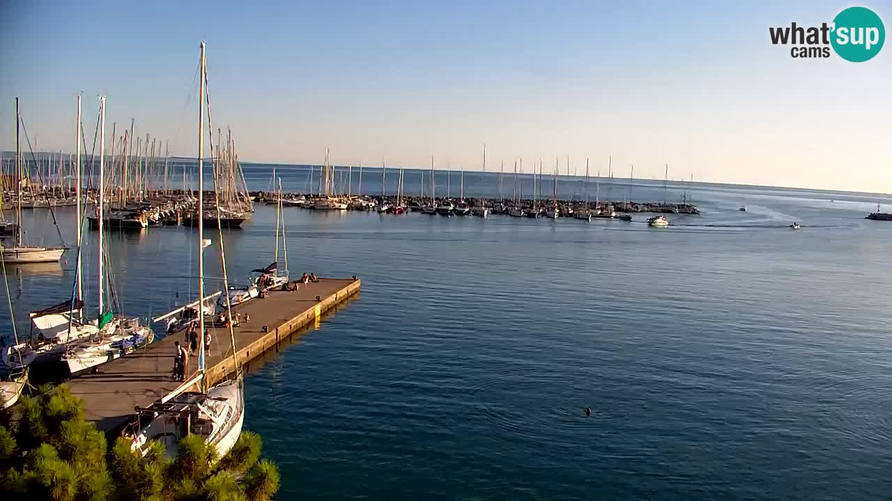 Spletna kamera Sesljanski zaliv – Pogled v živo na marino in zaliv