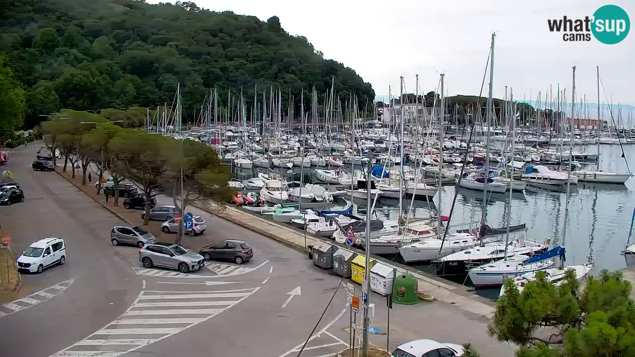 Web kamera Sistiana Uvala – Pogled uživo na marinu i zaljev
