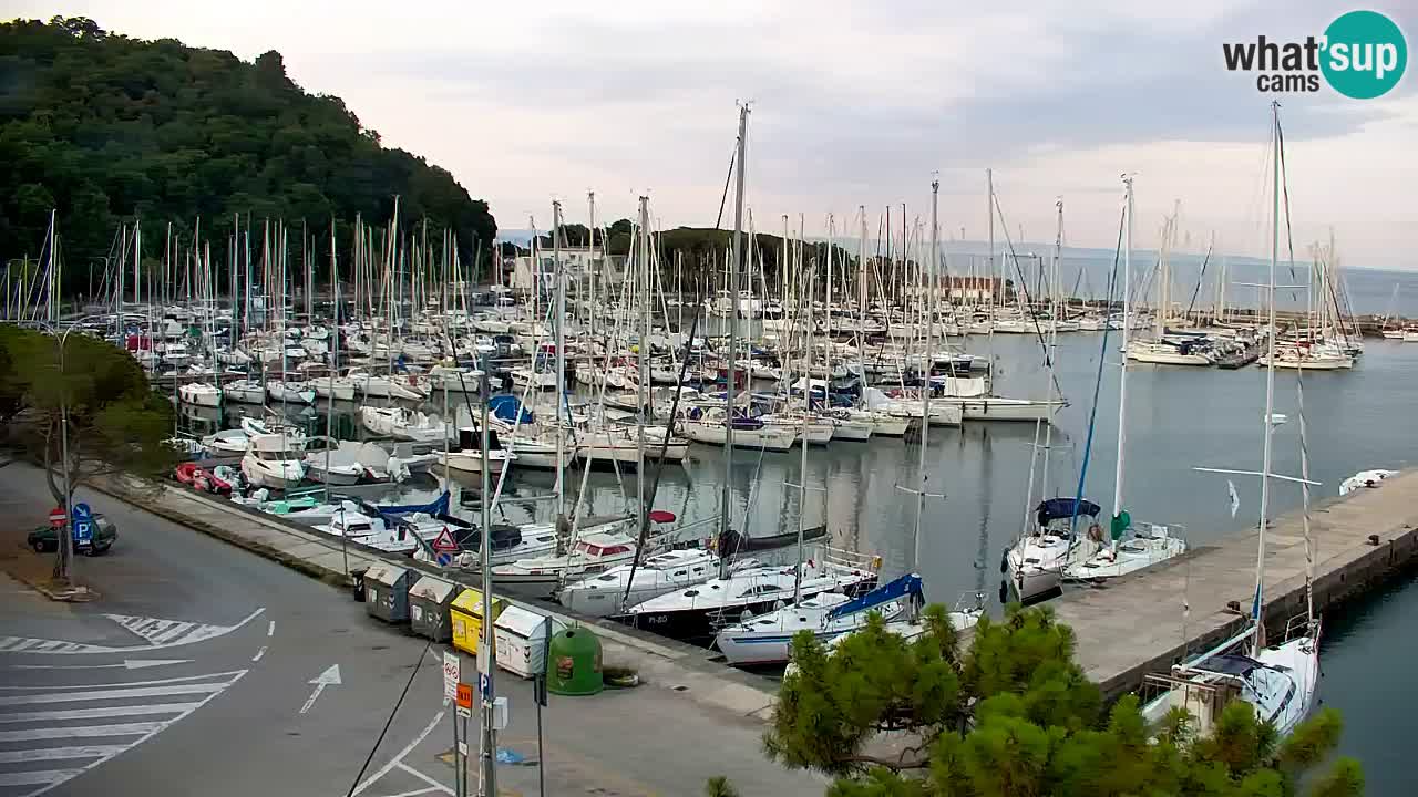 Web kamera Sistiana Uvala – Pogled uživo na marinu i zaljev