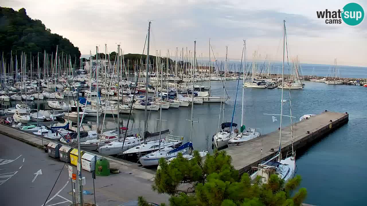 Webcam Bahía de Sistiana – Vista en directo del puerto deportivo y la costa