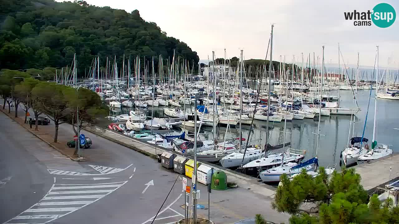 Webcam Bahía de Sistiana – Vista en directo del puerto deportivo y la costa