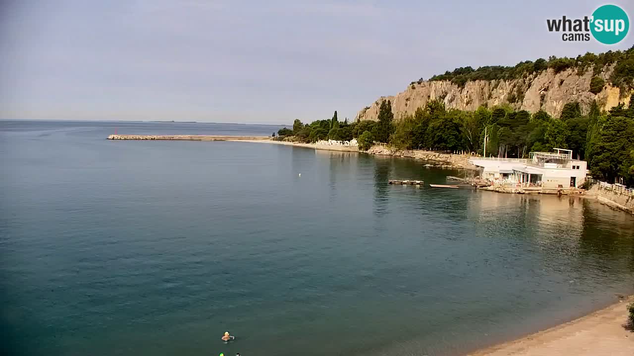 Web kamera Sistiana Uvala – Pogled uživo na marinu i zaljev