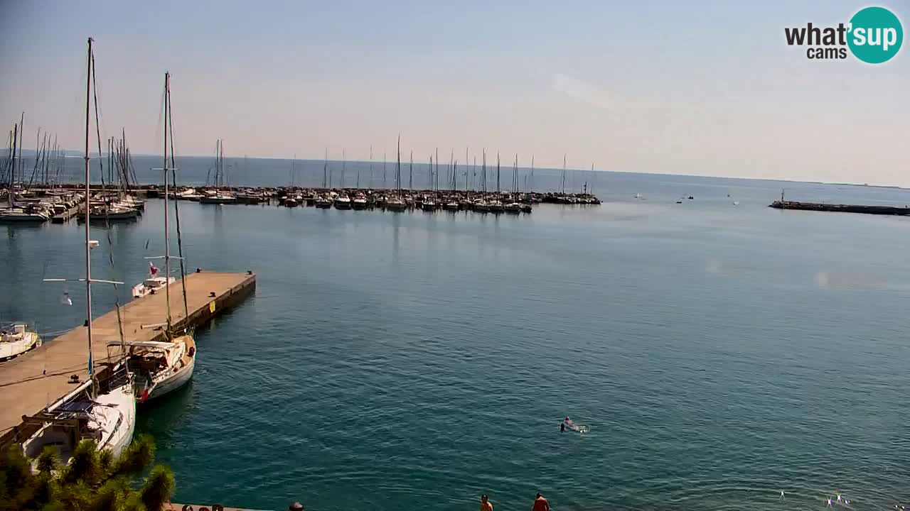 Webcam Bahía de Sistiana – Vista en directo del puerto deportivo y la costa