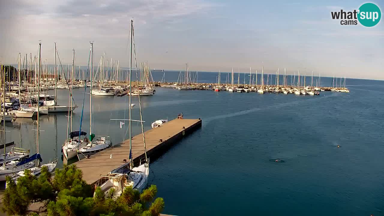 Webcam Bahía de Sistiana – Vista en directo del puerto deportivo y la costa