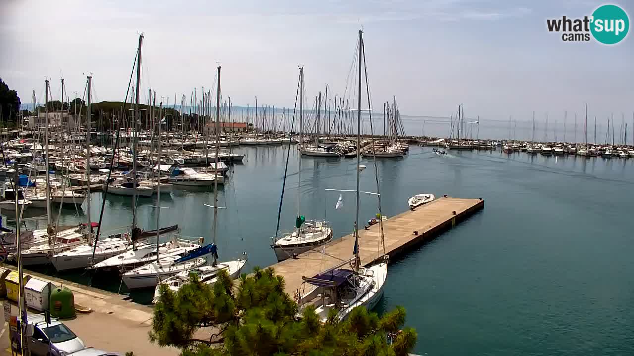 Web kamera Sistiana Uvala – Pogled uživo na marinu i zaljev