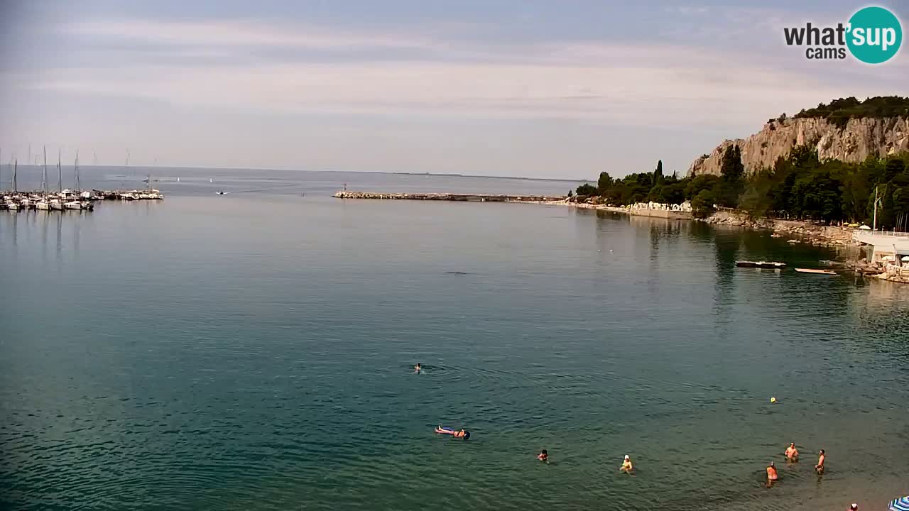 Webcam Bahía de Sistiana – Vista en directo del puerto deportivo y la costa