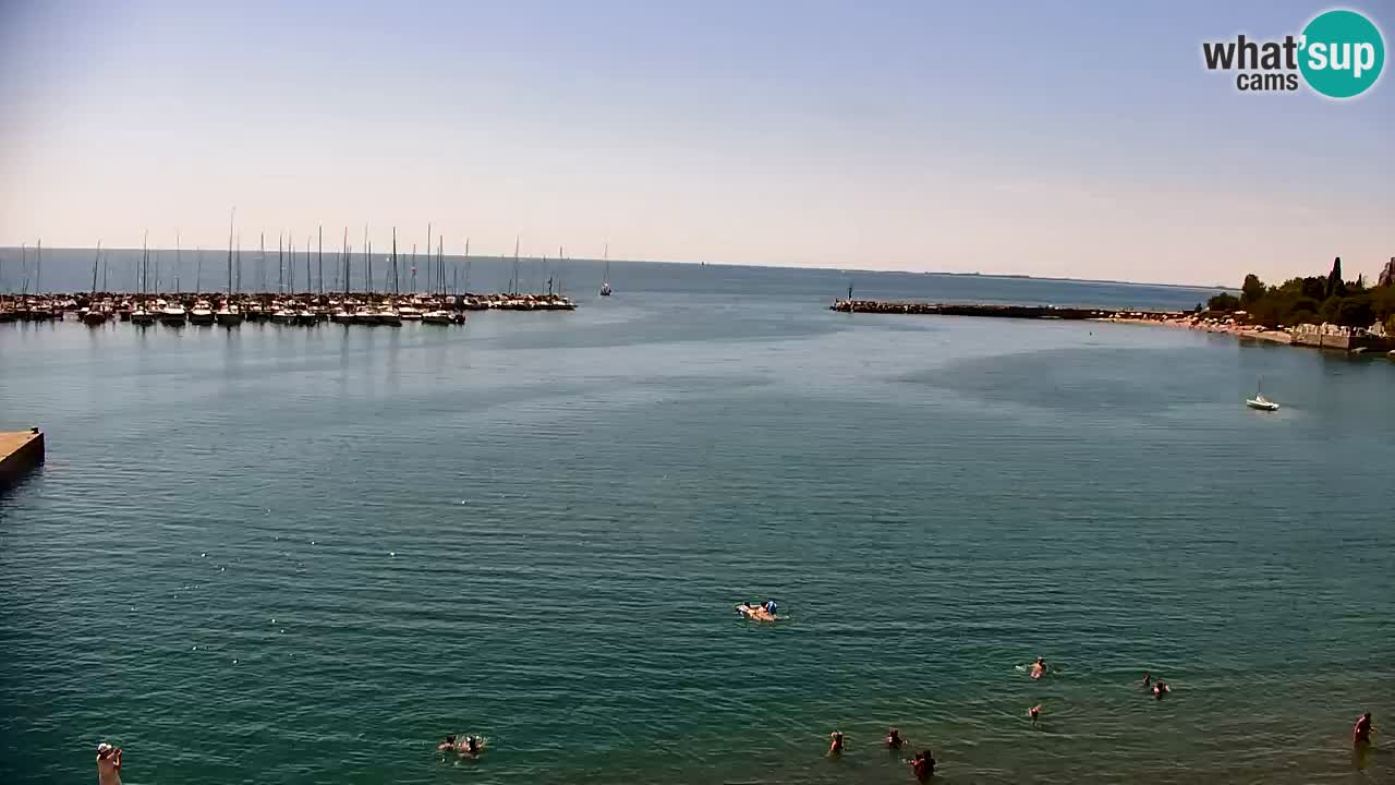 Webcam Sistiana Baia – Live View of the Marina and Gulf