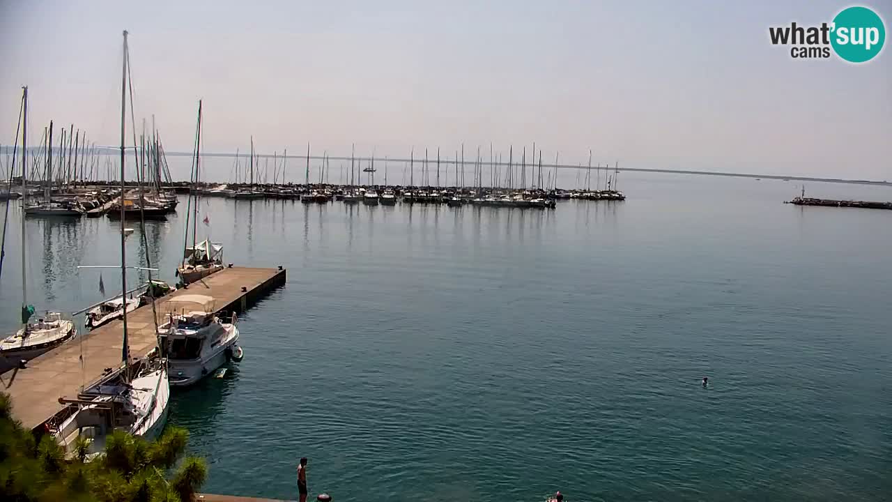 Spletna kamera Sesljanski zaliv – Pogled v živo na marino in zaliv
