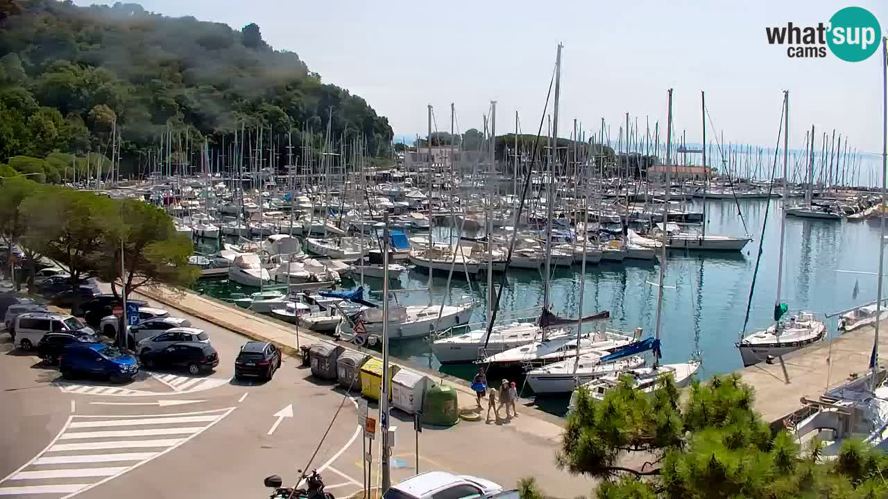 Webcam Sistiana Baia – Live View of the Marina and Gulf