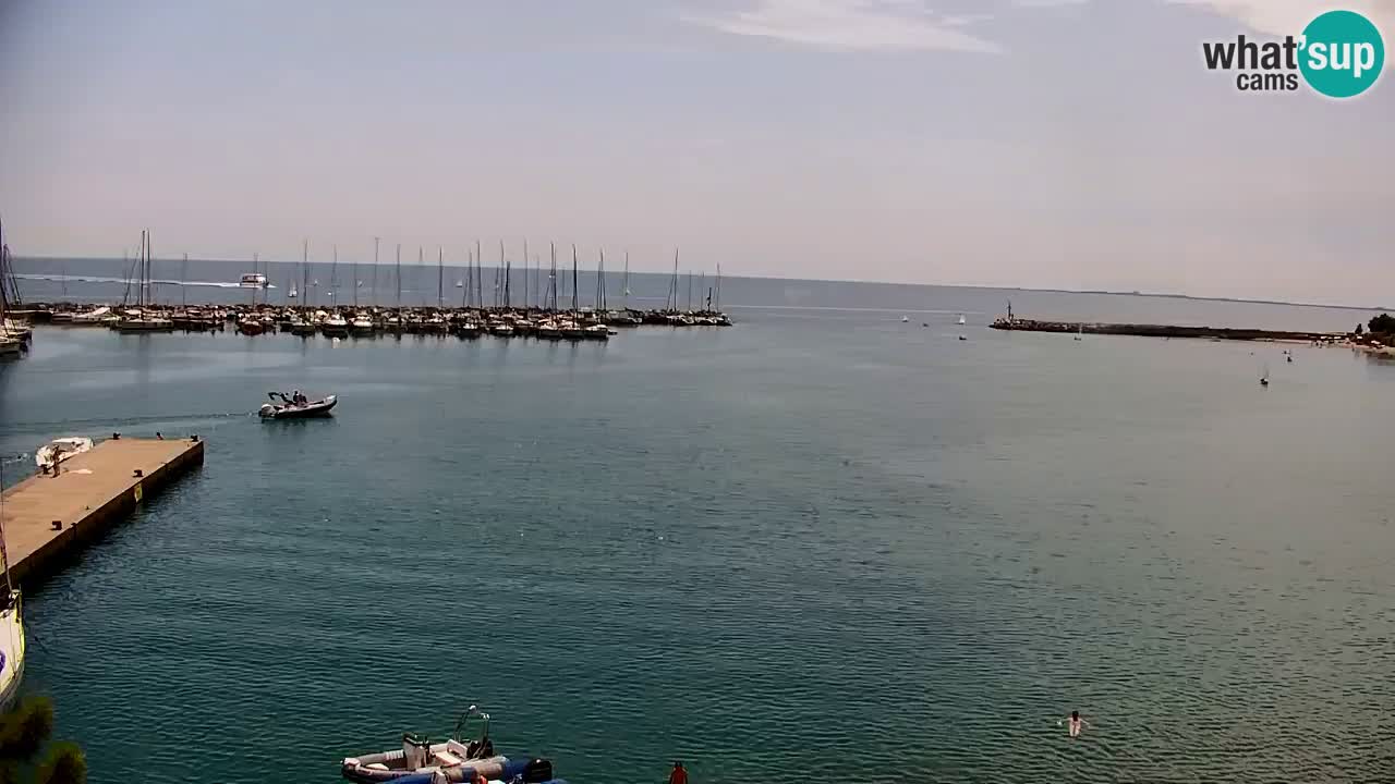 Web kamera Sistiana Uvala – Pogled uživo na marinu i zaljev