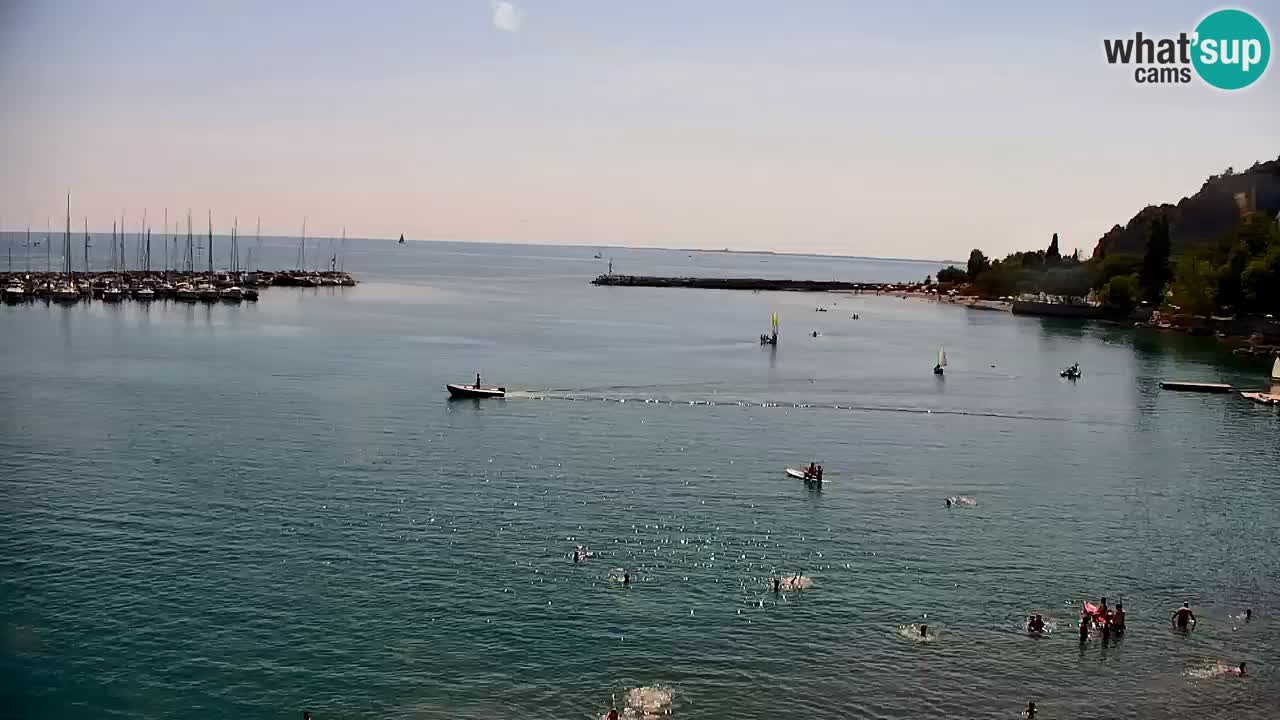 Web kamera Sistiana Uvala – Pogled uživo na marinu i zaljev