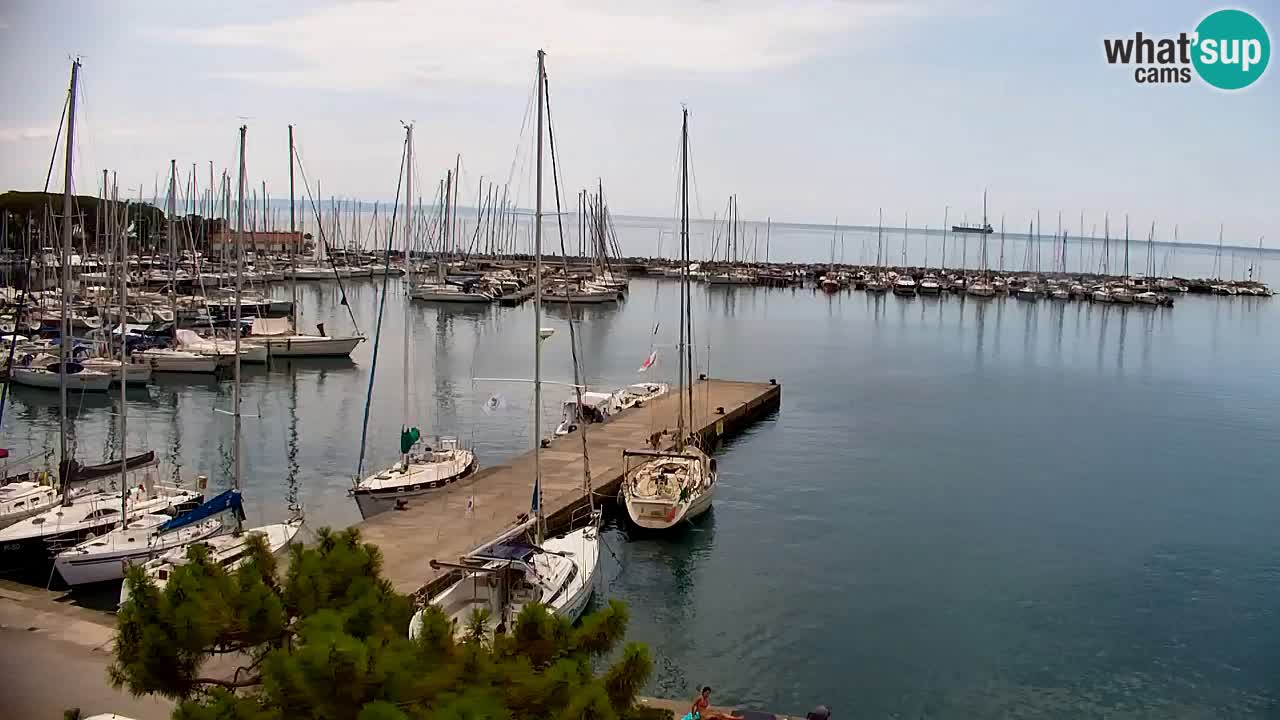 Web kamera Sistiana Uvala – Pogled uživo na marinu i zaljev