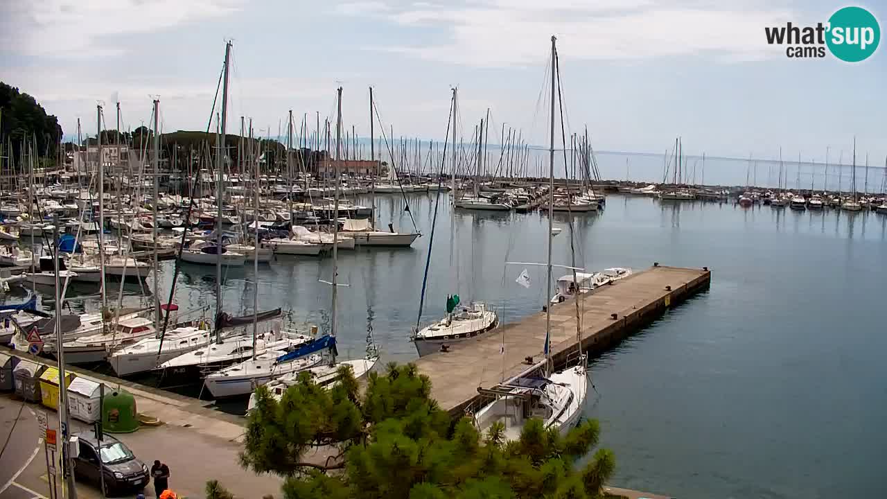 Webcam Sistiana Baia – Live View of the Marina and Gulf