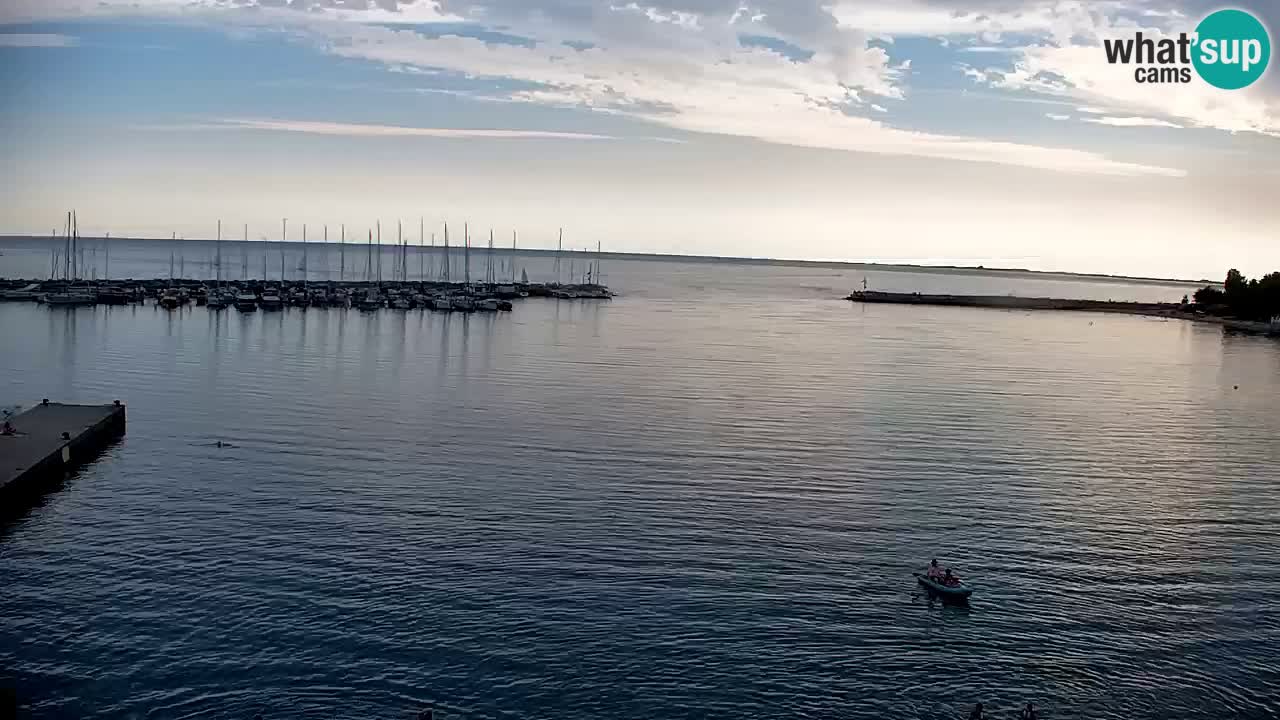 Web kamera Sistiana Uvala – Pogled uživo na marinu i zaljev