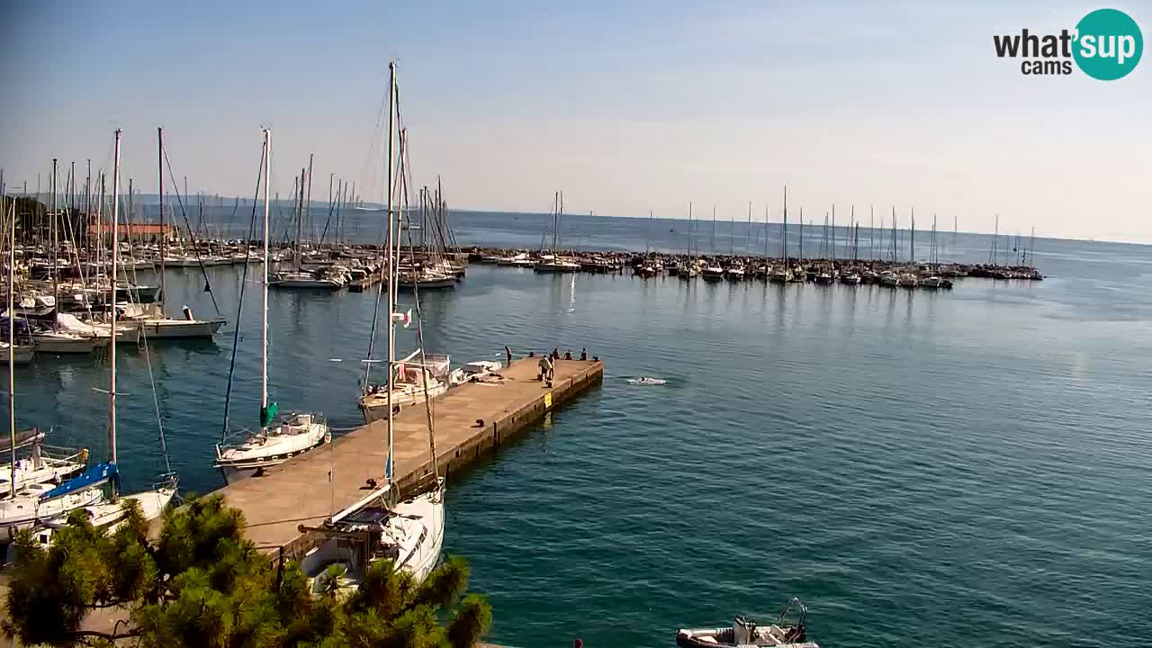 Web kamera Sistiana Uvala – Pogled uživo na marinu i zaljev