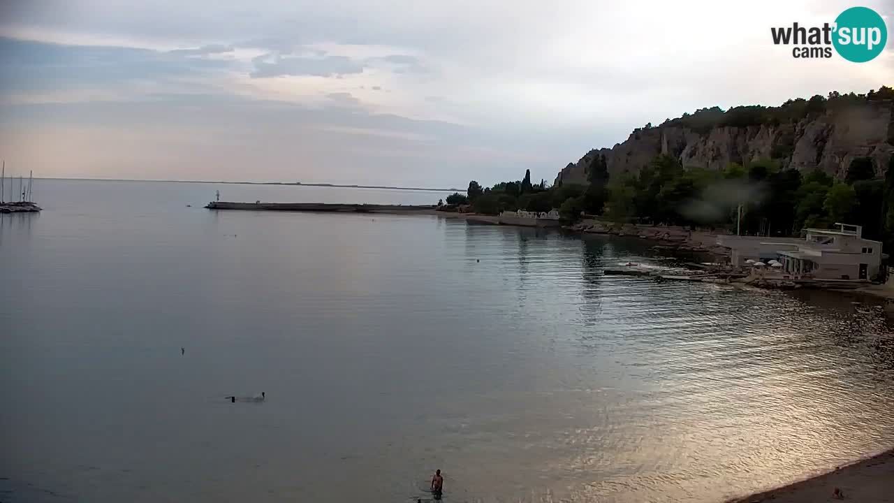 Web kamera Sistiana Uvala – Pogled uživo na marinu i zaljev