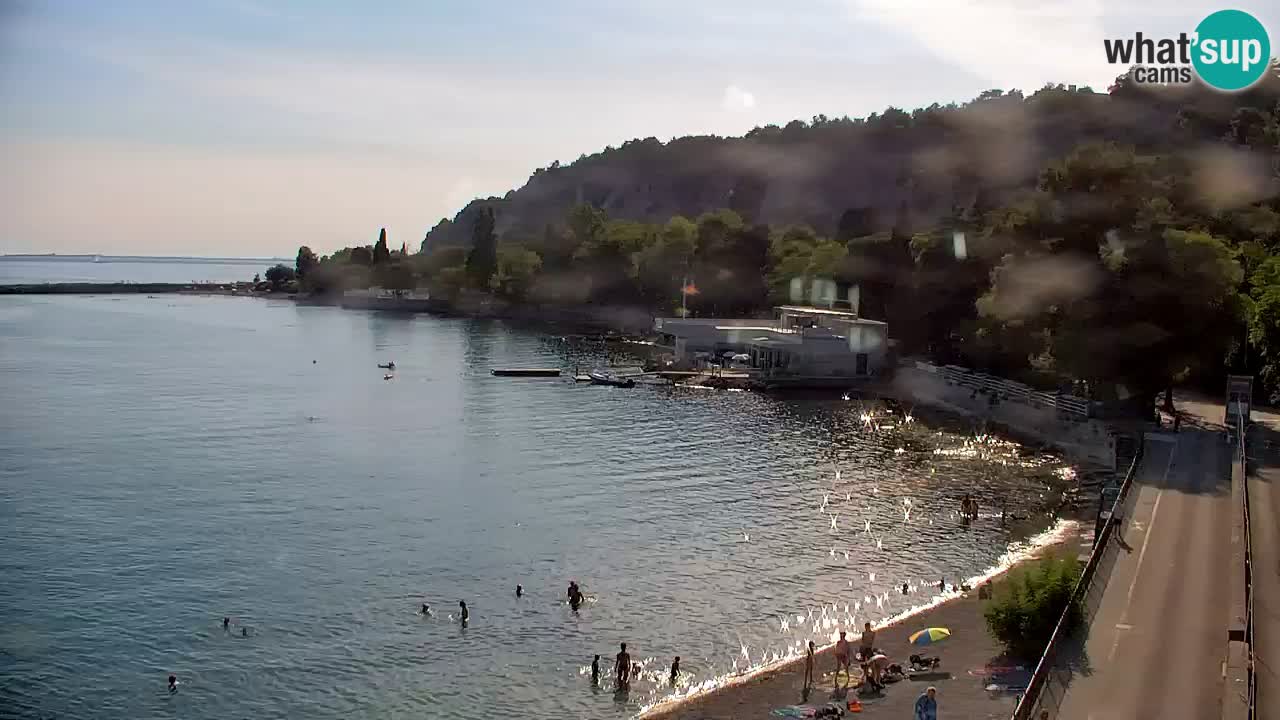 Webcam Sistiana Bucht – Liveblick auf Marina und Bucht