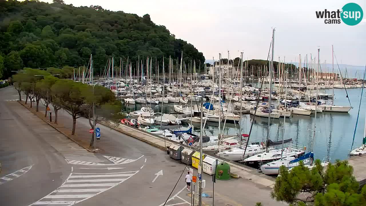 Webcam Sistiana Baia – Live View of the Marina and Gulf
