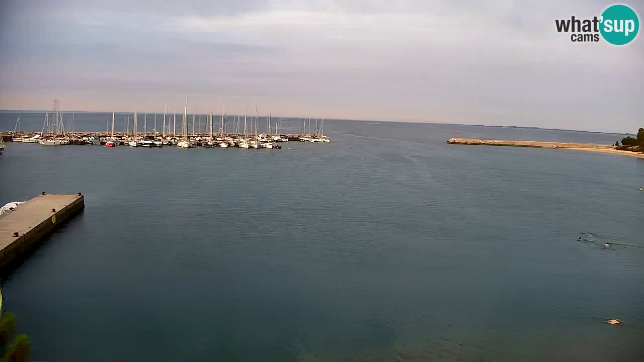 Webcam Sistiana Bucht – Liveblick auf Marina und Bucht