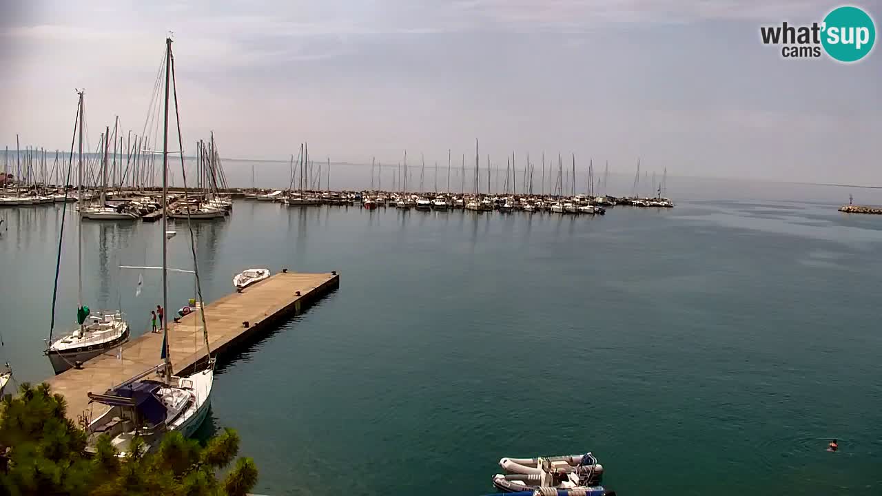 Spletna kamera Sesljanski zaliv – Pogled v živo na marino in zaliv